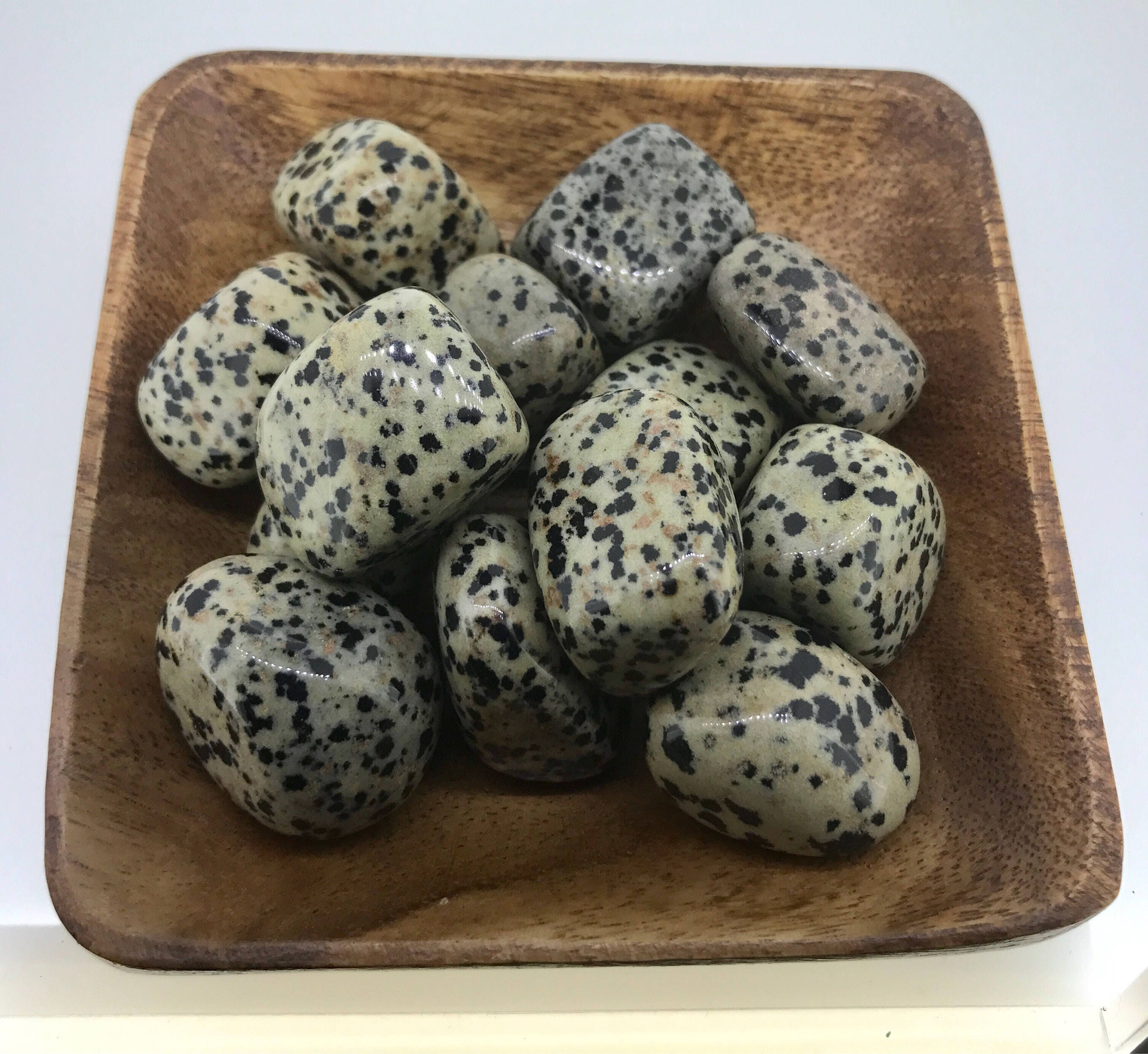 Dalmatian Jasper TUMBLED Dalmatian Jasper