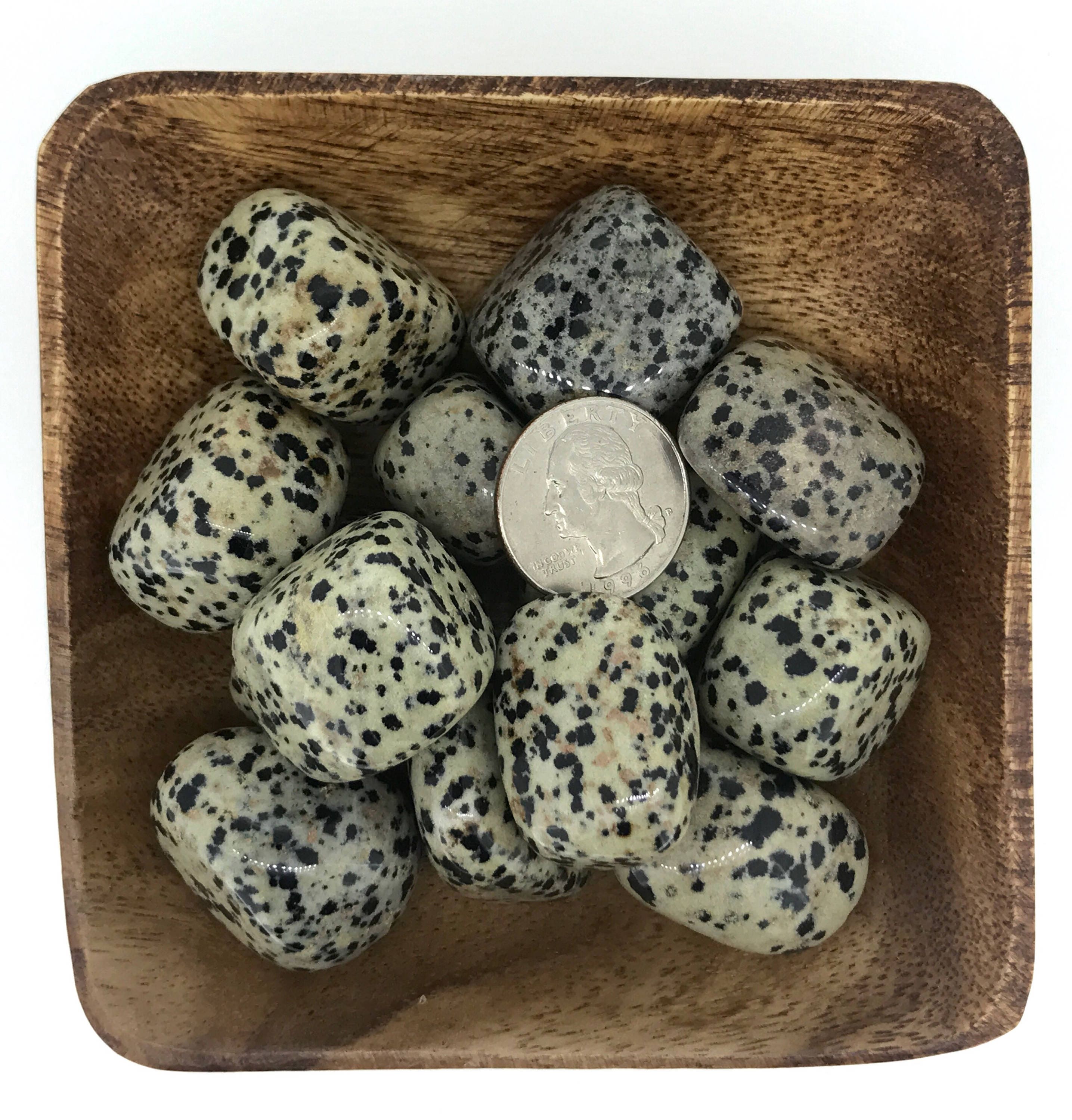 Dalmatian Jasper TUMBLED Dalmatian Jasper 