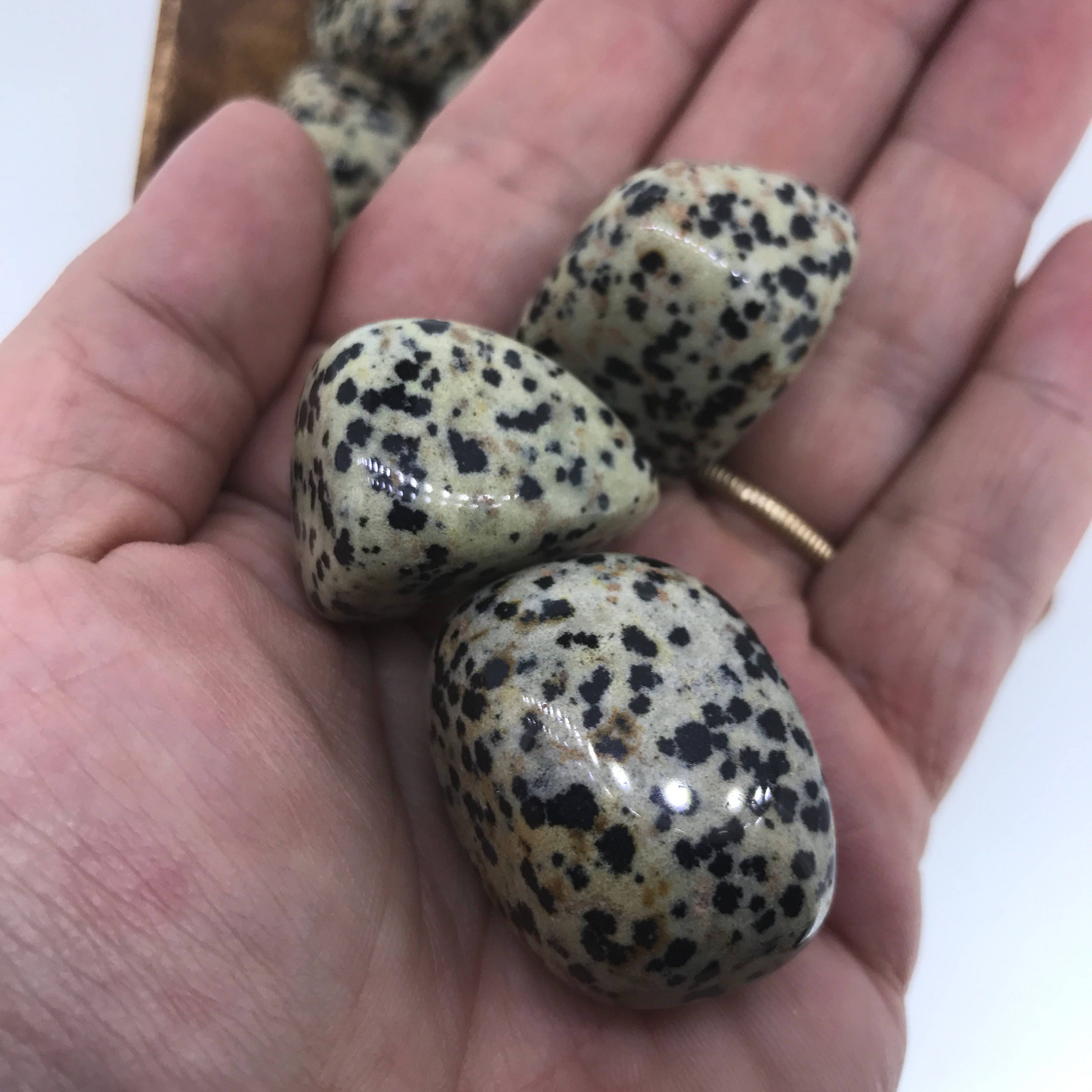 Dalmatian Jasper TUMBLED Dalmatian Jasper