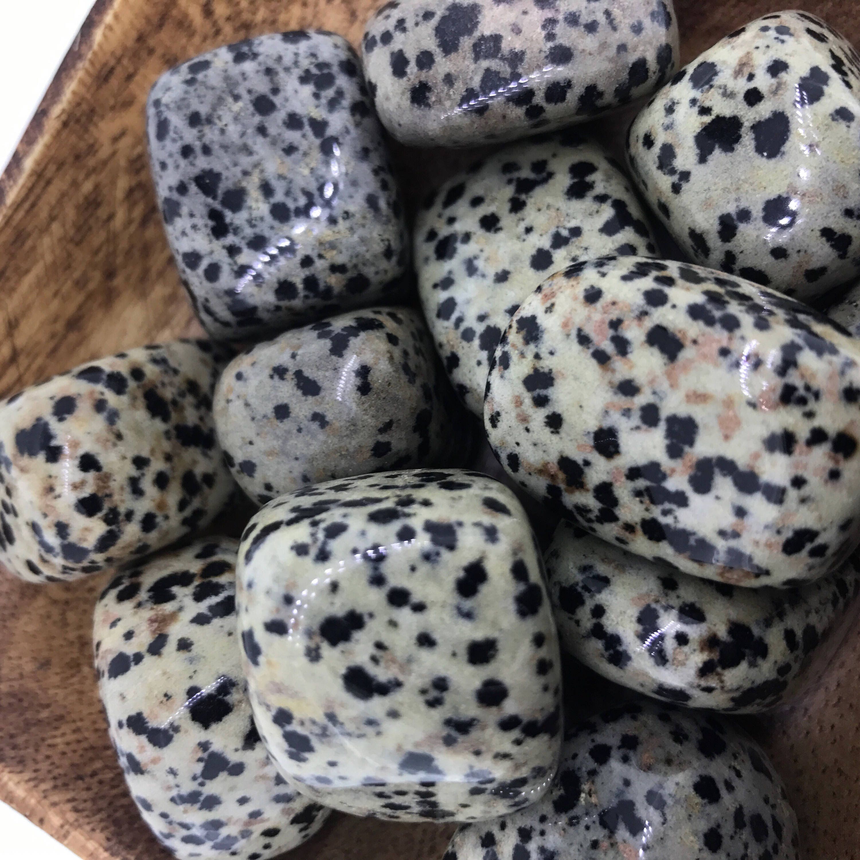 Dalmatian Jasper TUMBLED Dalmatian Jasper