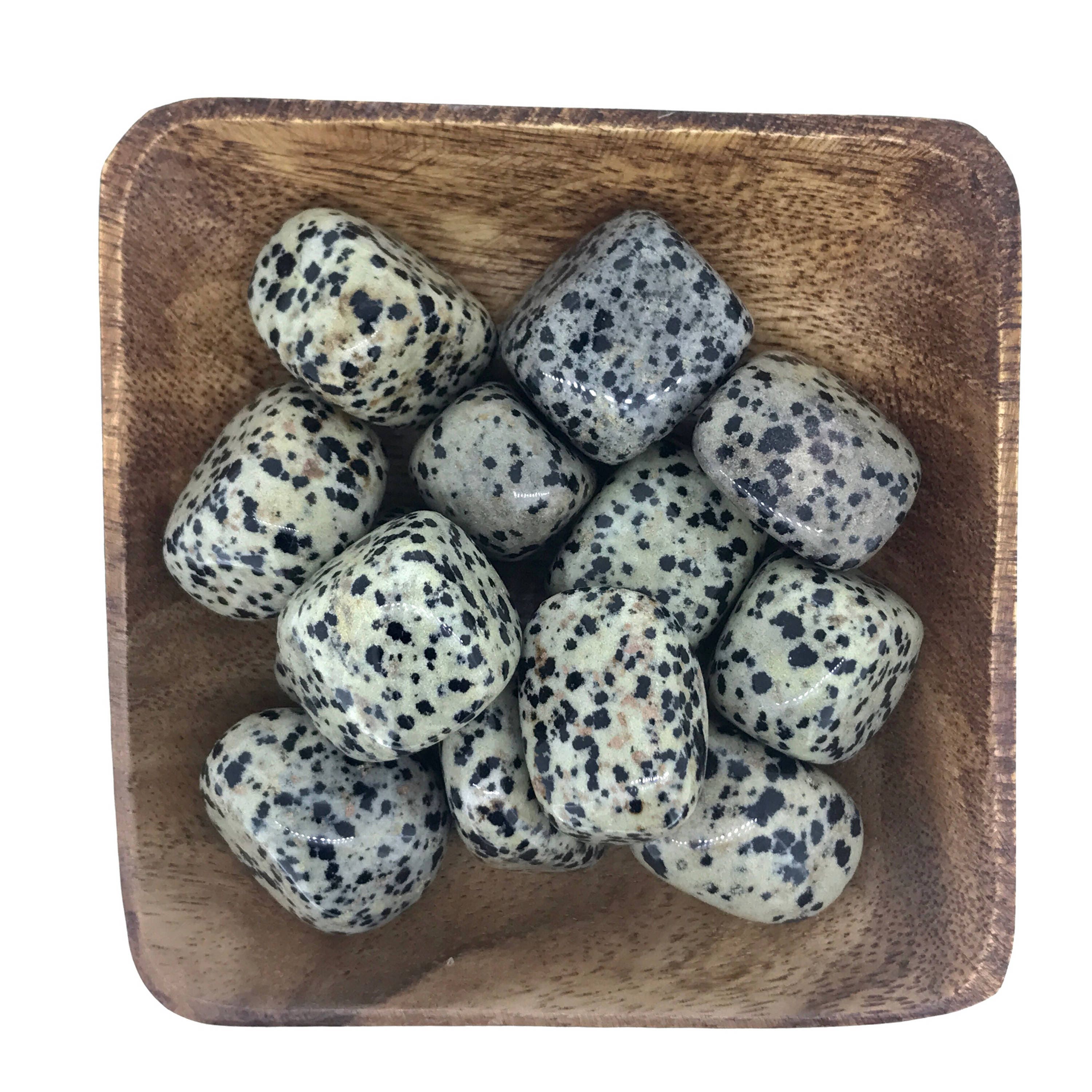 Dalmatian Jasper TUMBLED Dalmatian Jasper