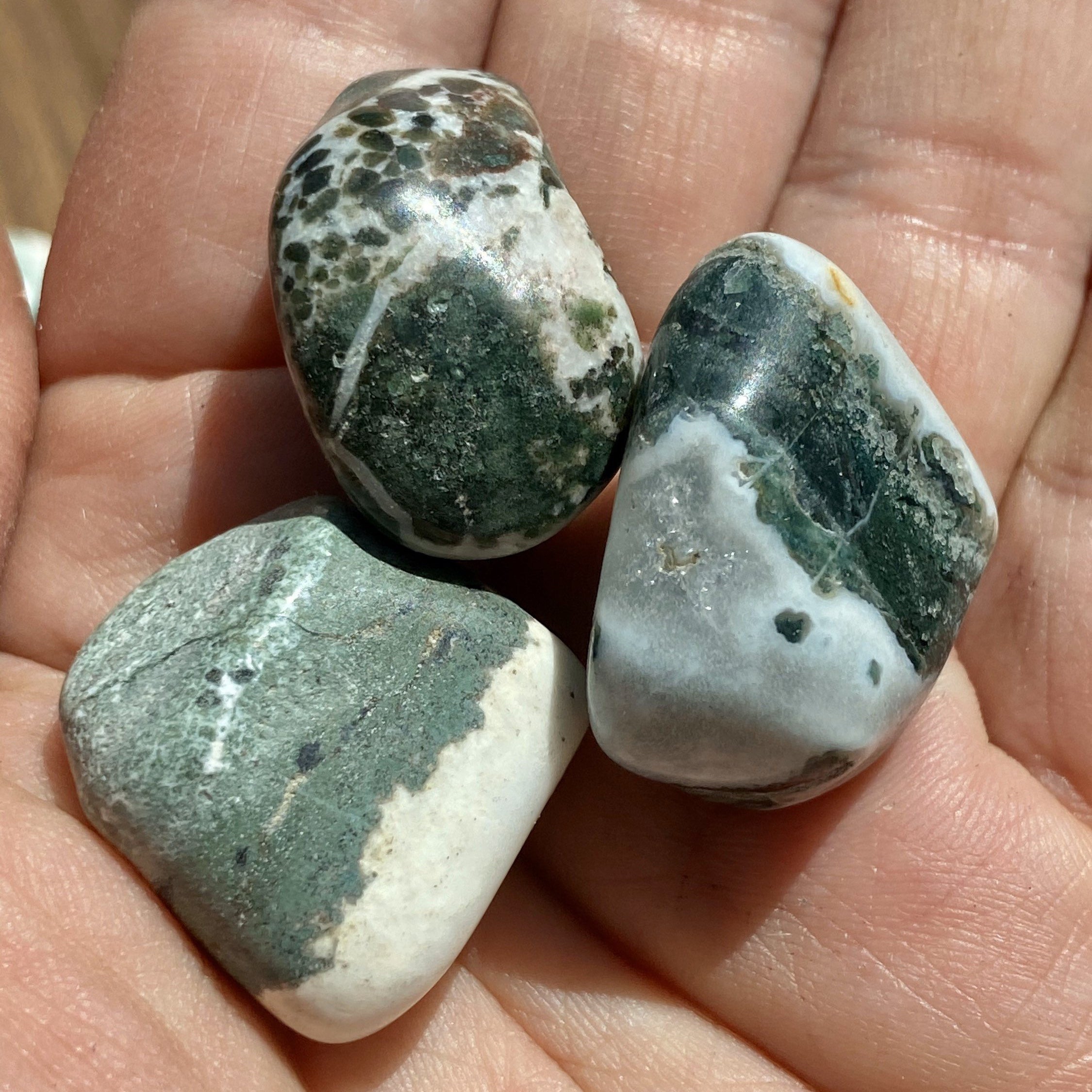 Sardonyx Green TUMBLED  Sardonyx