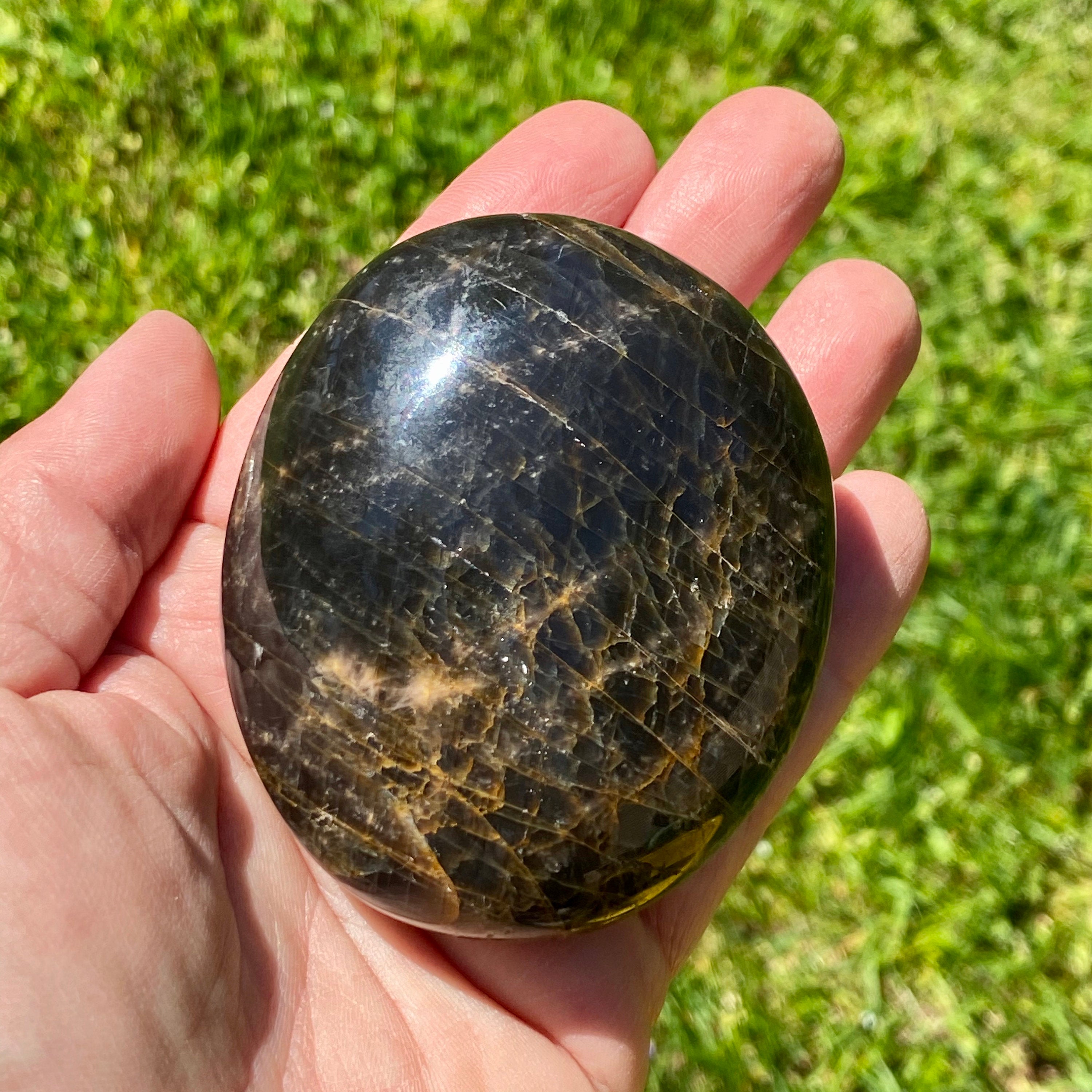 Black Moon Stone PALM STONE from Madagascar