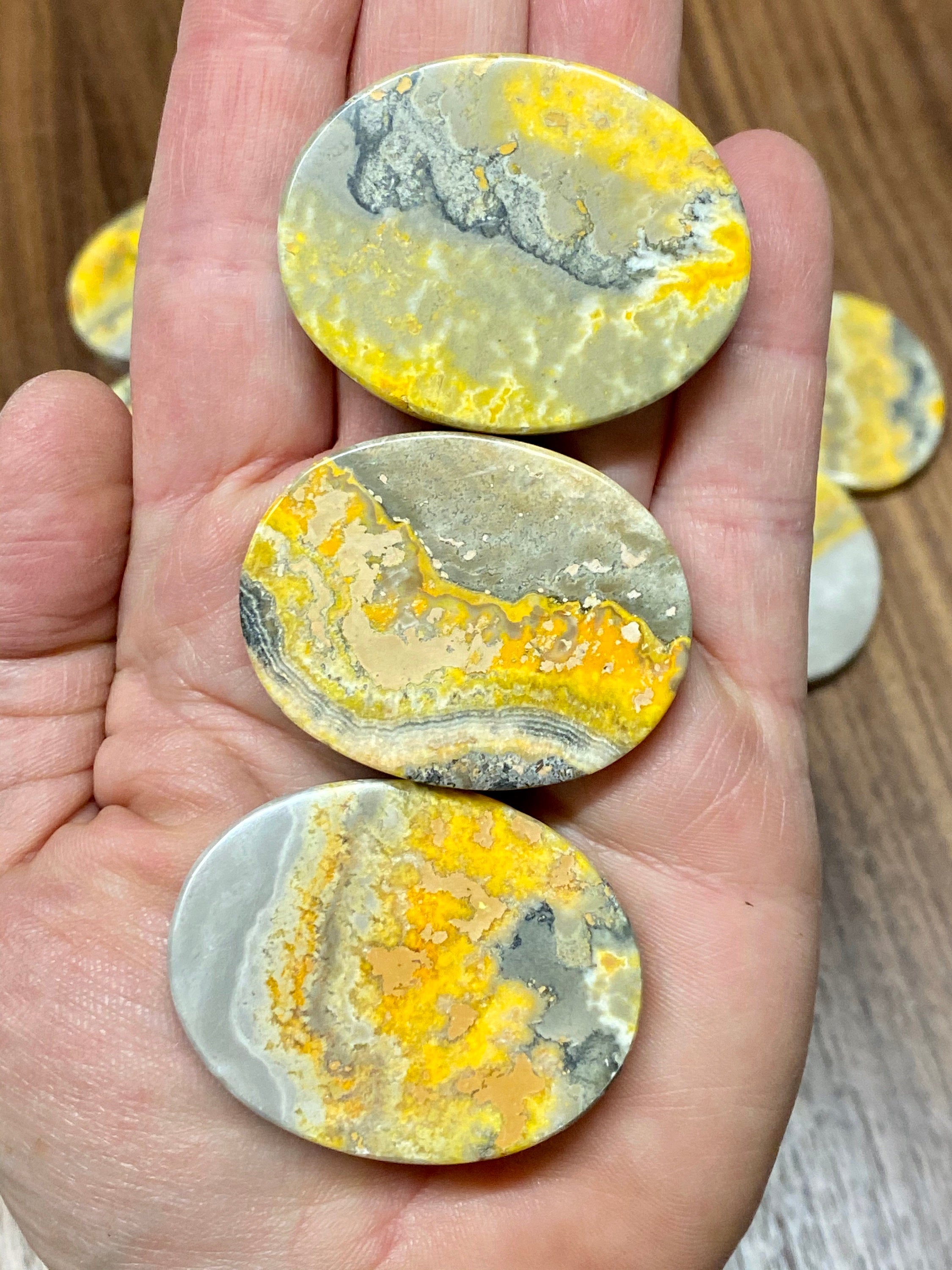 Bumblebee Jasper PALM STONE