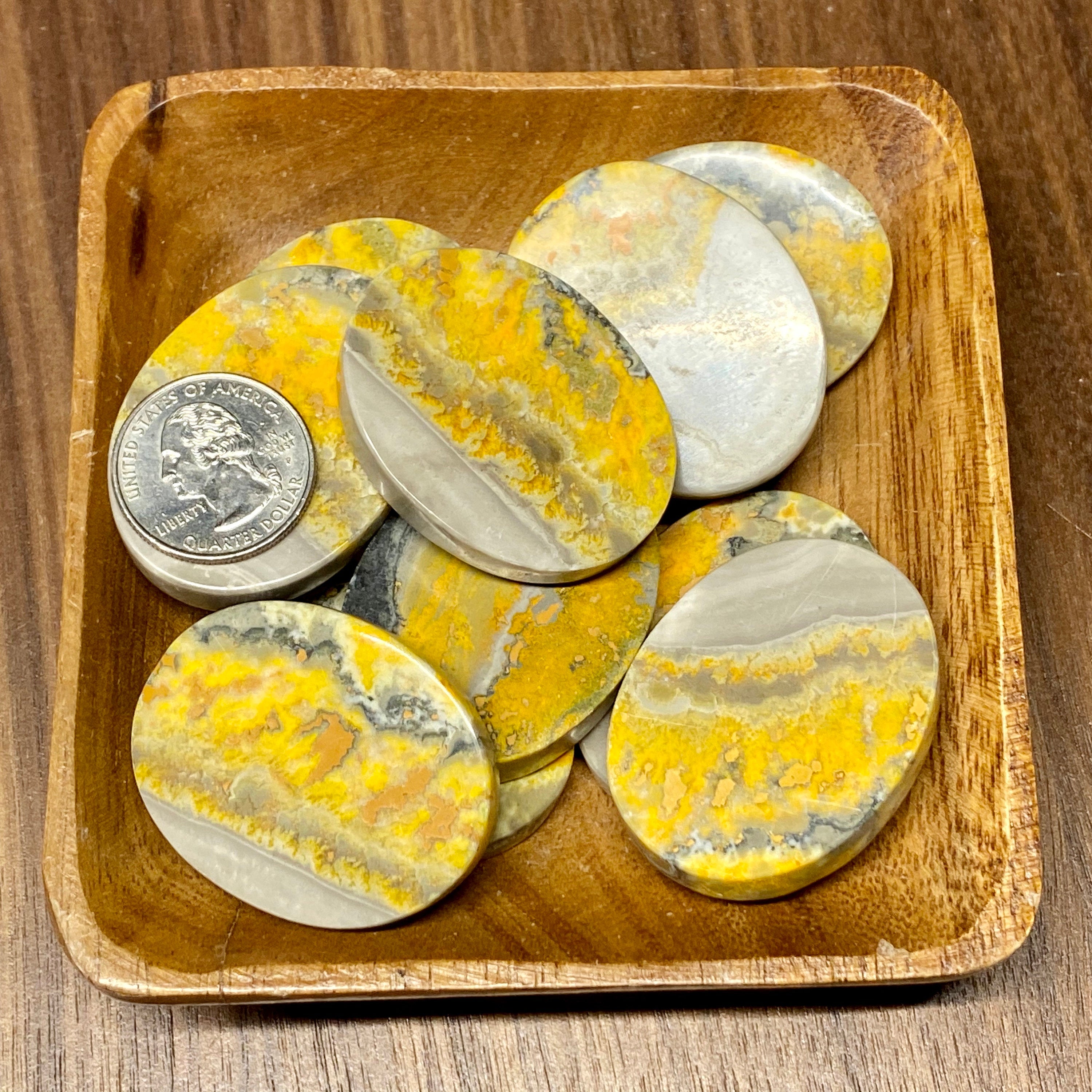 Bumblebee Jasper PALM STONE