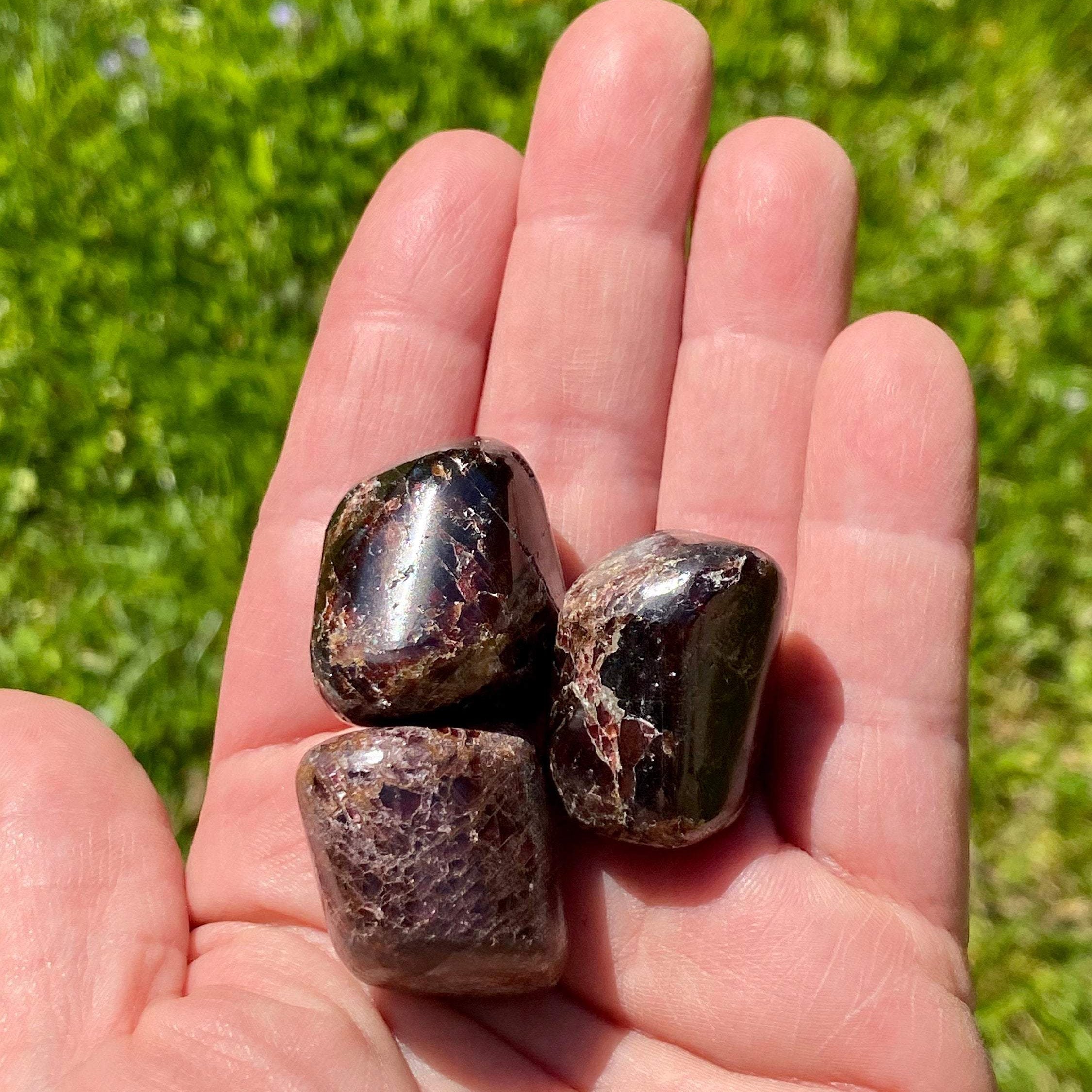 Garnet TUMBLED Medium