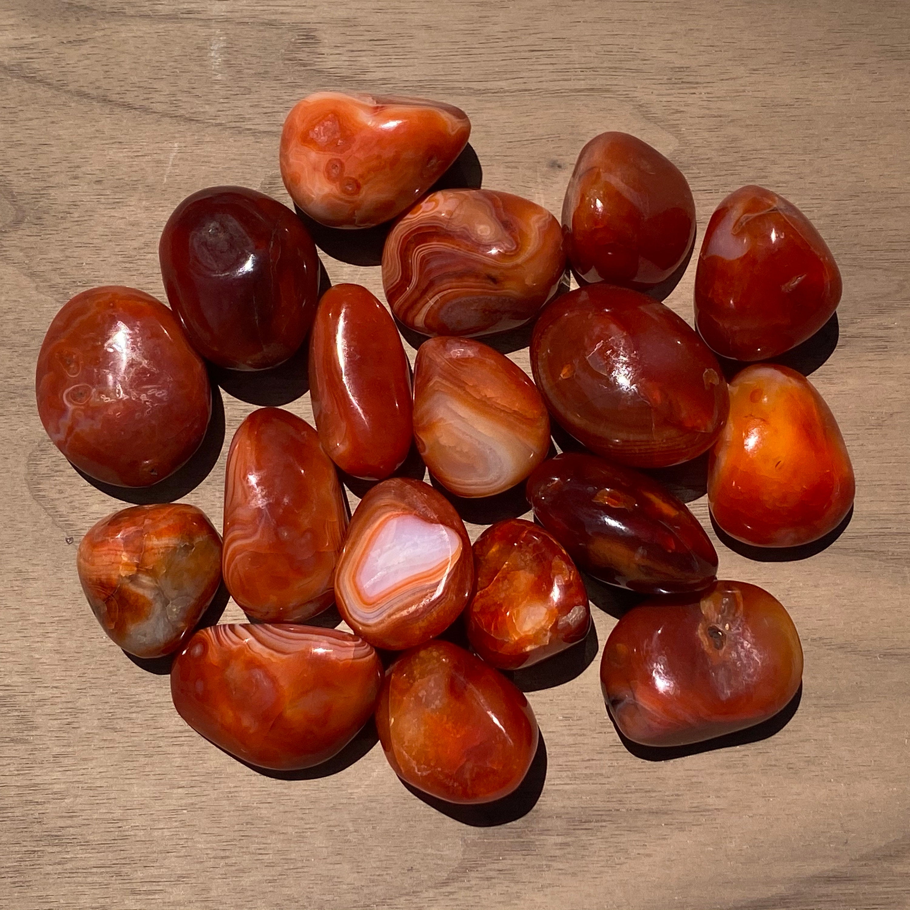 Carnelian PALM STONE from Madagascar