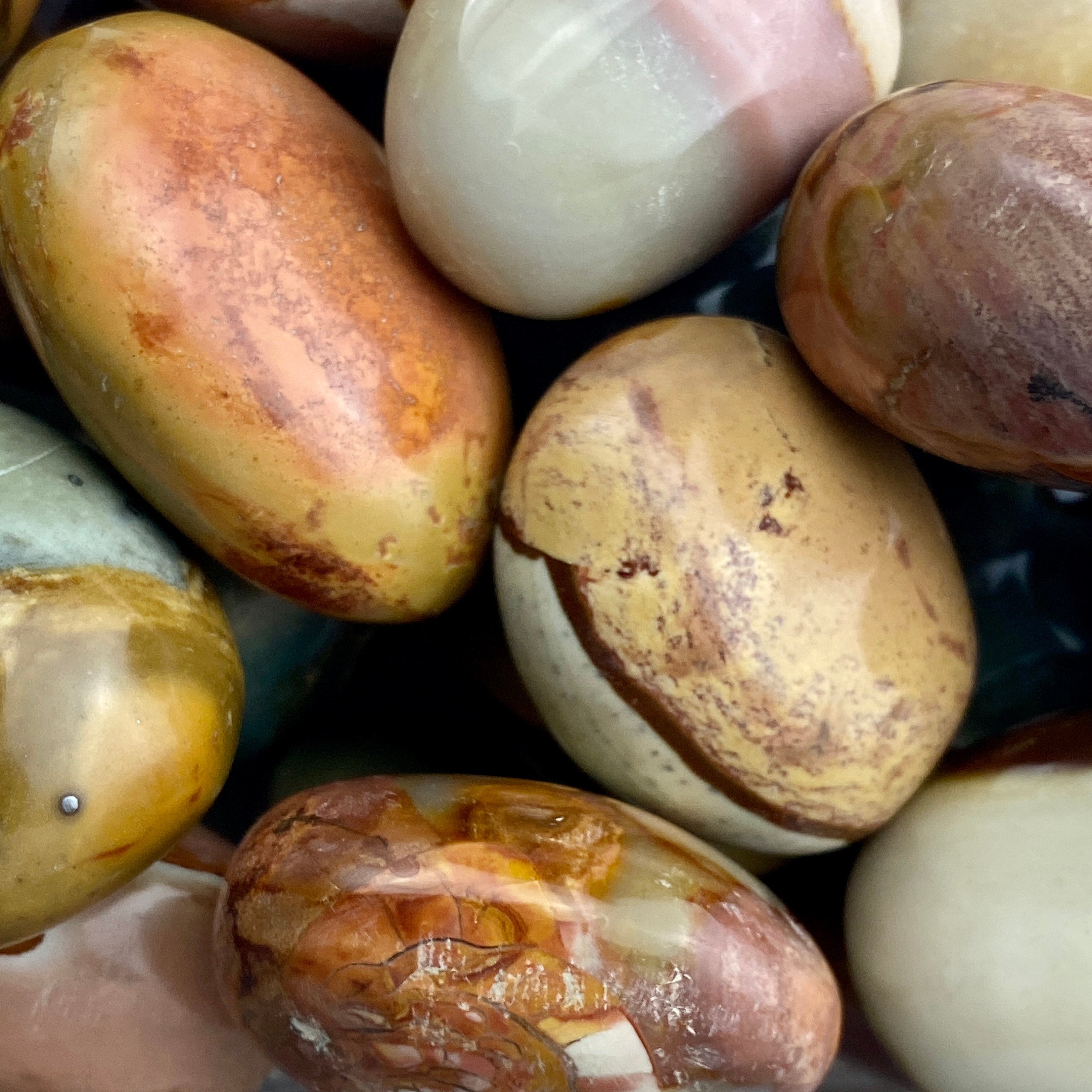 Polychrome Jasper  PALM STONE