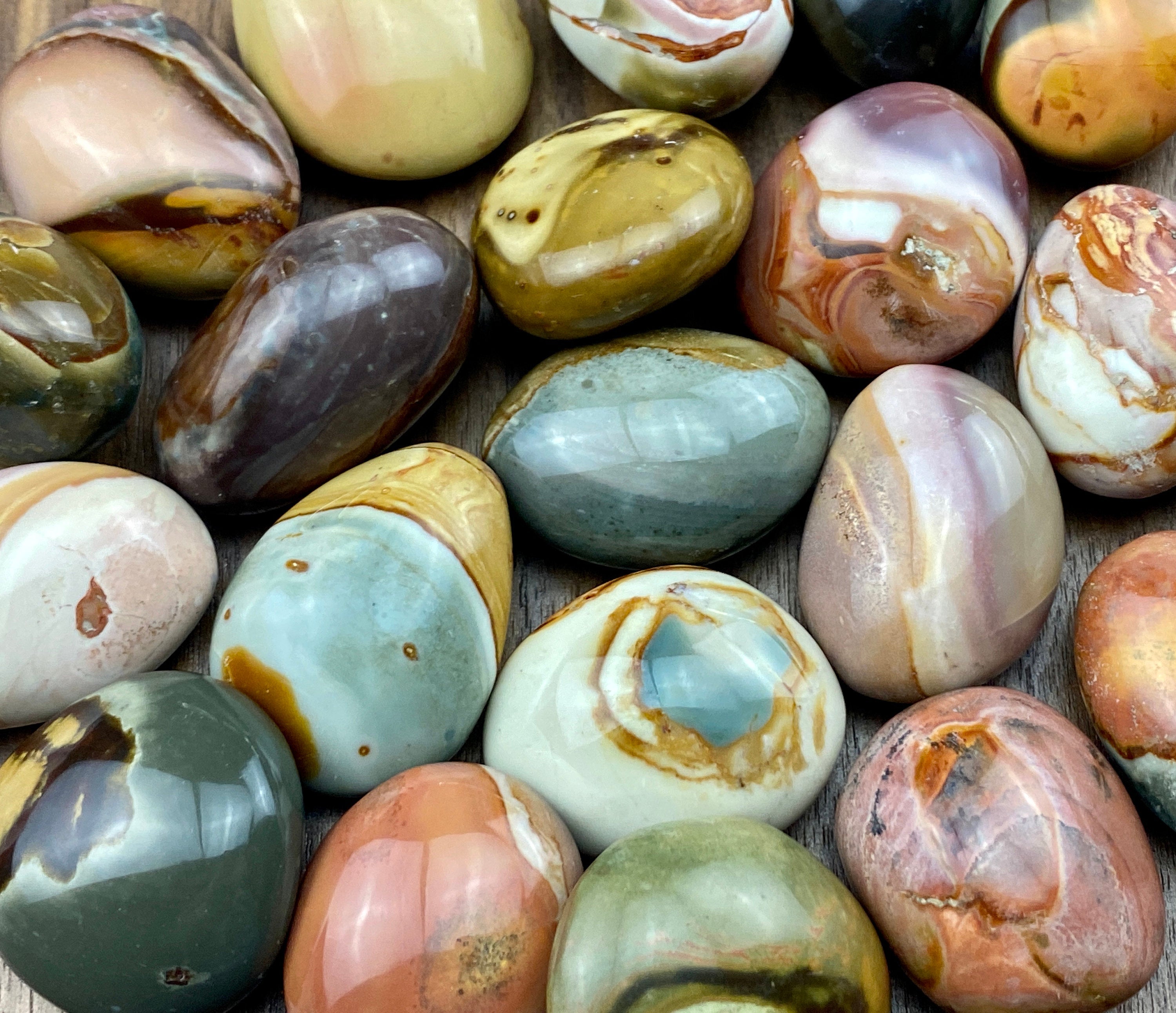 Polychrome Jasper  PALM STONE