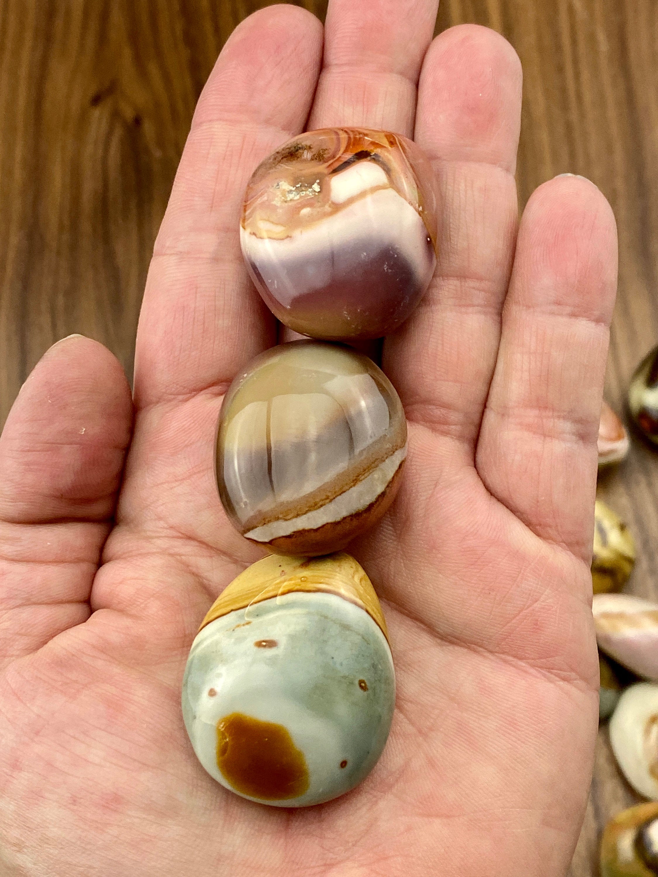 Polychrome Jasper  PALM STONE
