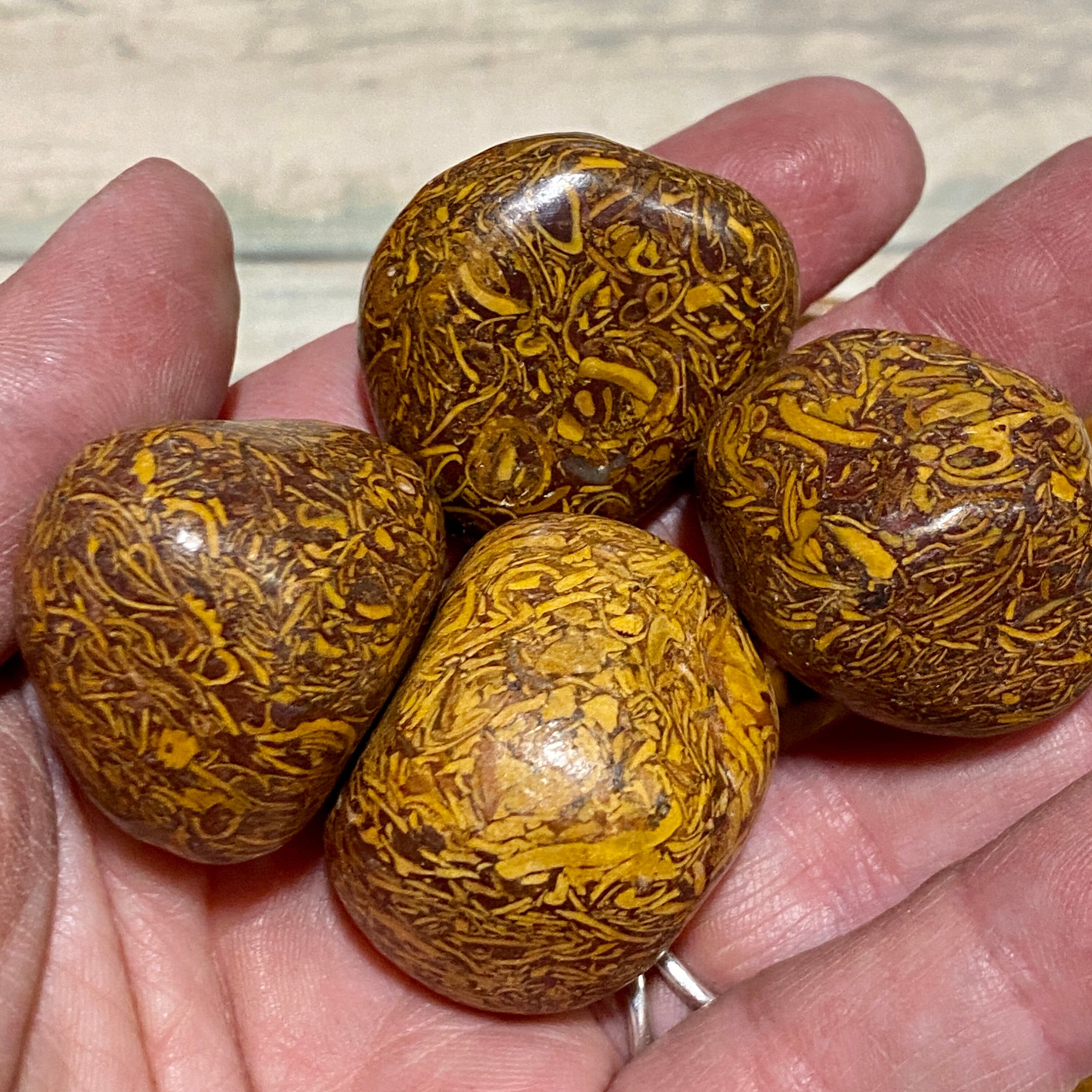 Leopard Skin Jasper TUMBLED