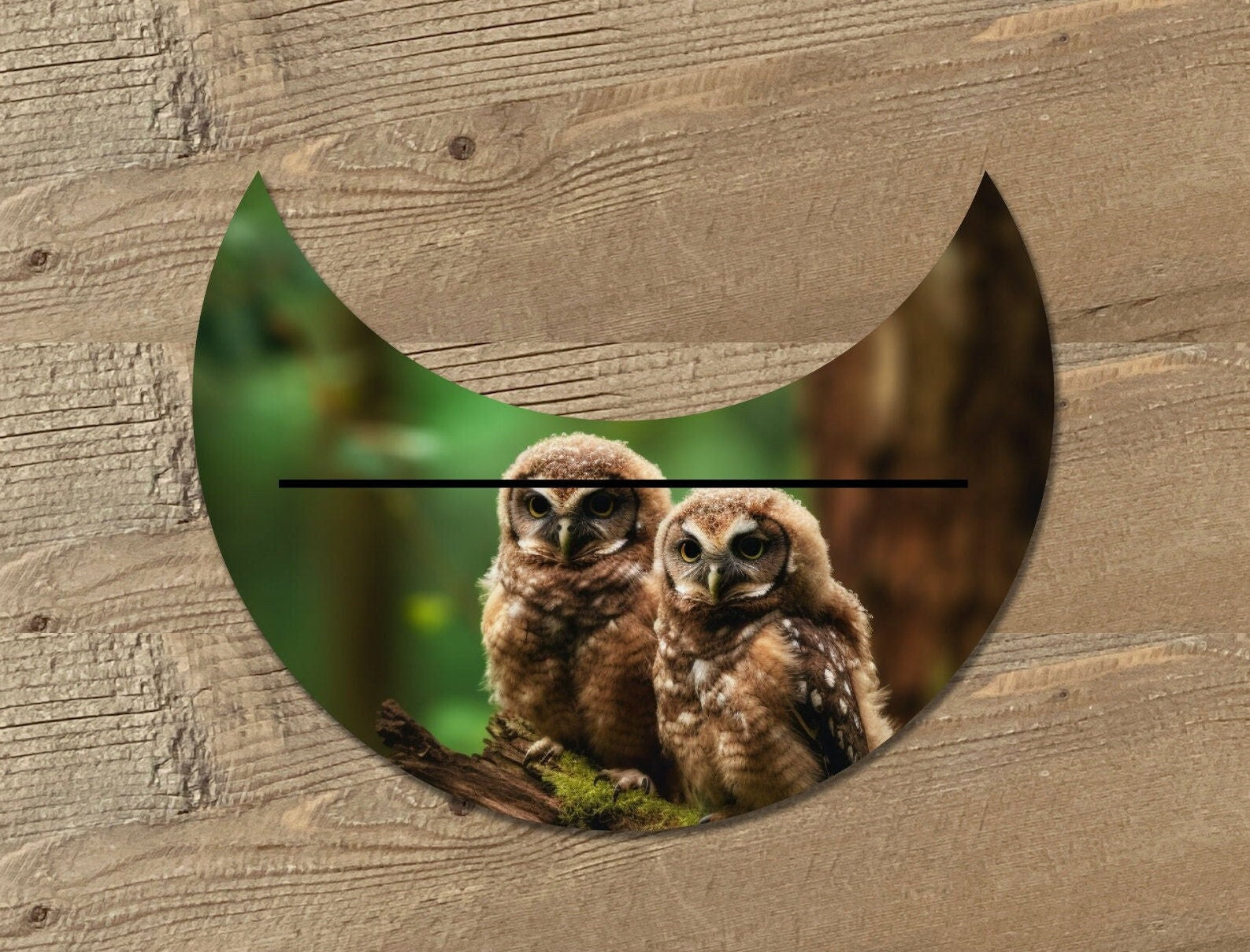 Baby Owls Single Tarot Card Holder - Oracle Card Holder